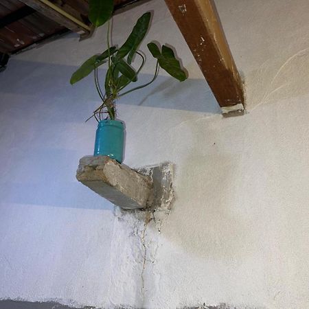 Hostel Cactus Arugambay Arugam Bay Zewnętrze zdjęcie