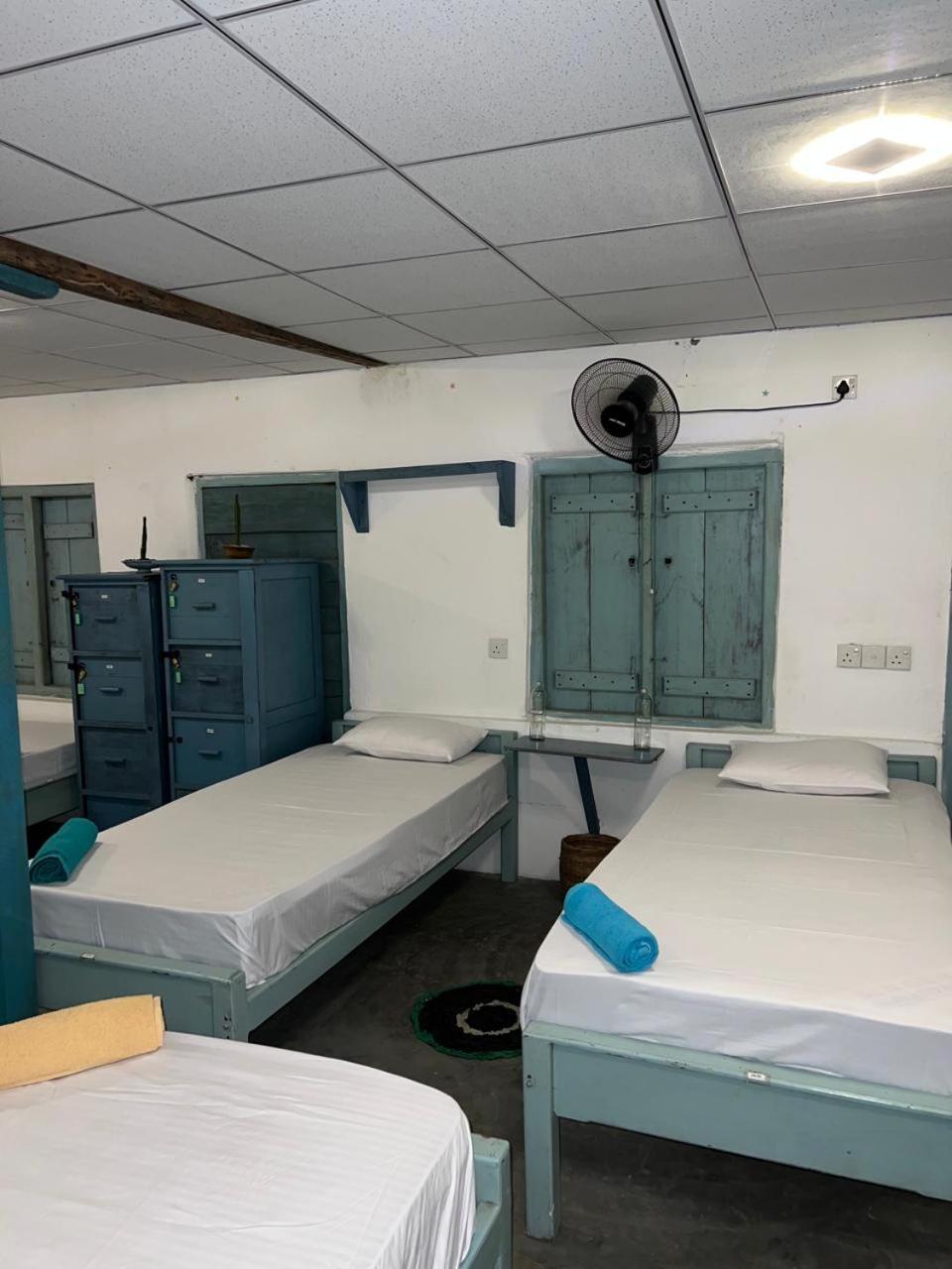 Hostel Cactus Arugambay Arugam Bay Zewnętrze zdjęcie