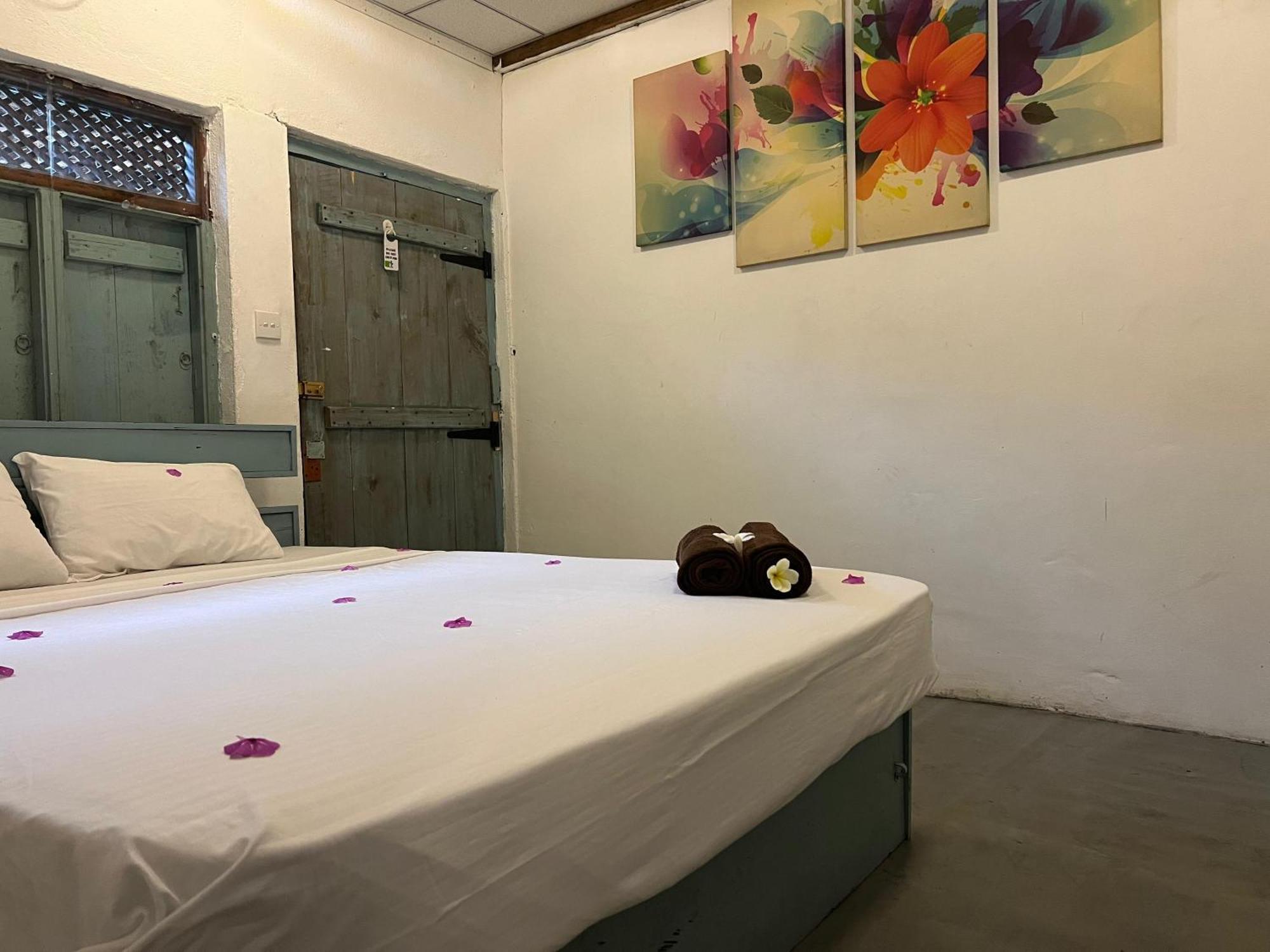 Hostel Cactus Arugambay Arugam Bay Zewnętrze zdjęcie
