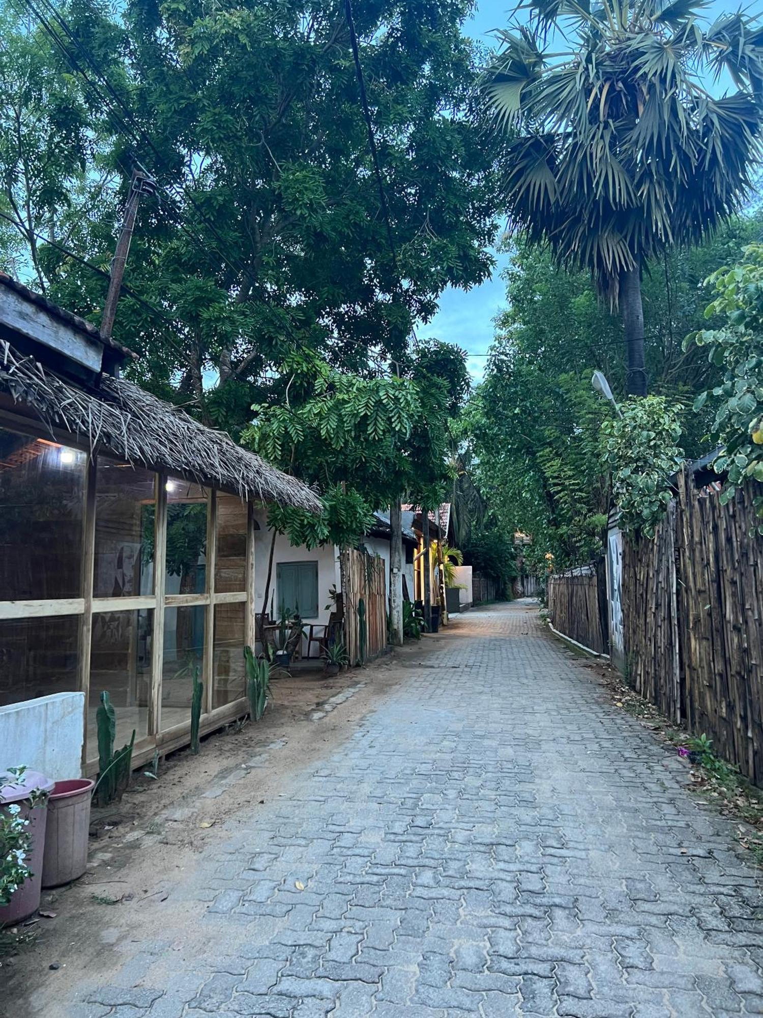 Hostel Cactus Arugambay Arugam Bay Zewnętrze zdjęcie