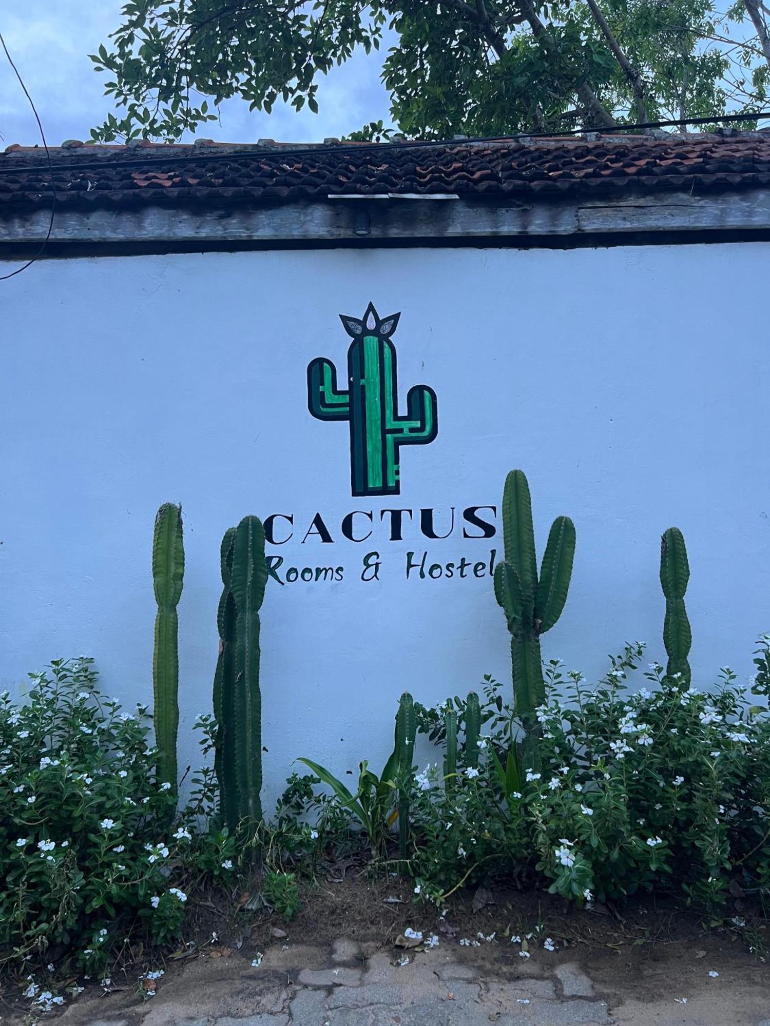 Hostel Cactus Arugambay Arugam Bay Zewnętrze zdjęcie