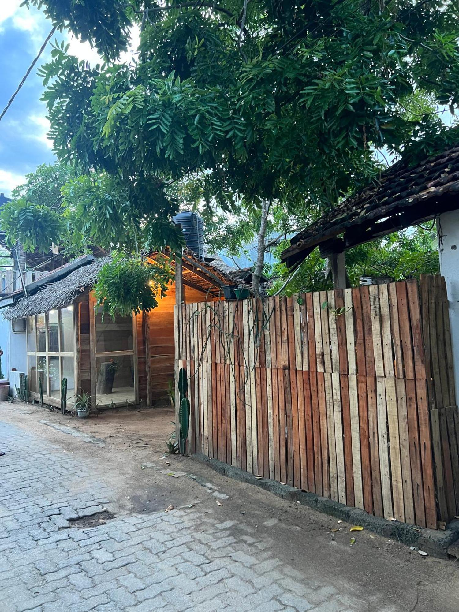 Hostel Cactus Arugambay Arugam Bay Zewnętrze zdjęcie
